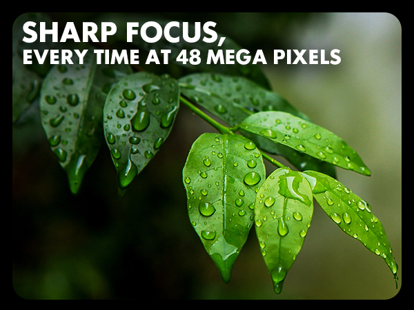 MND23 Sharp Focus with 48 Mega Pixels 