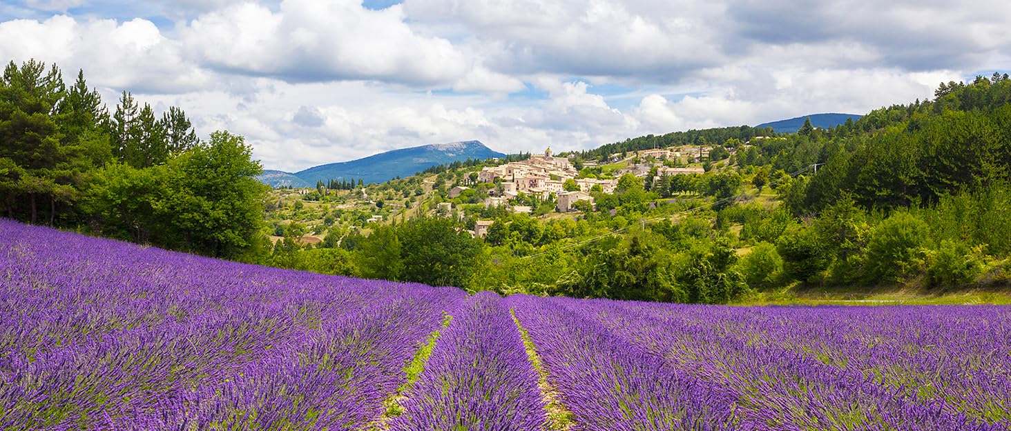 Paysage pittoresque avec un champ de lavande au premier plan. Des collines, des arbres et un village lointain sous un ciel nuageux en arrière-plan.
