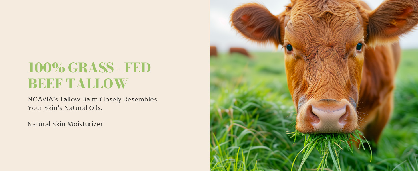 whipped tallow cream