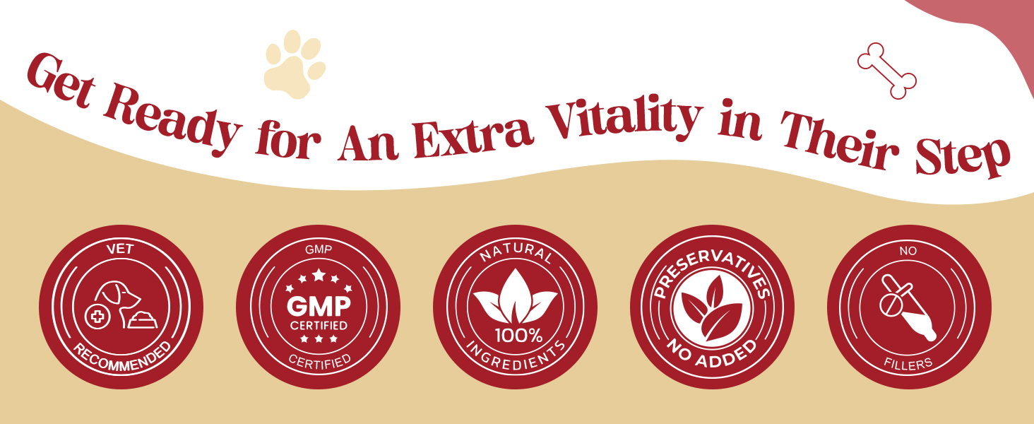 dog glucosamine and chondroitin supplement large dog