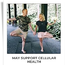 humming herbs urolithin a supplement acoq10 pqq resveratrol supports cellular energy healthy aging
