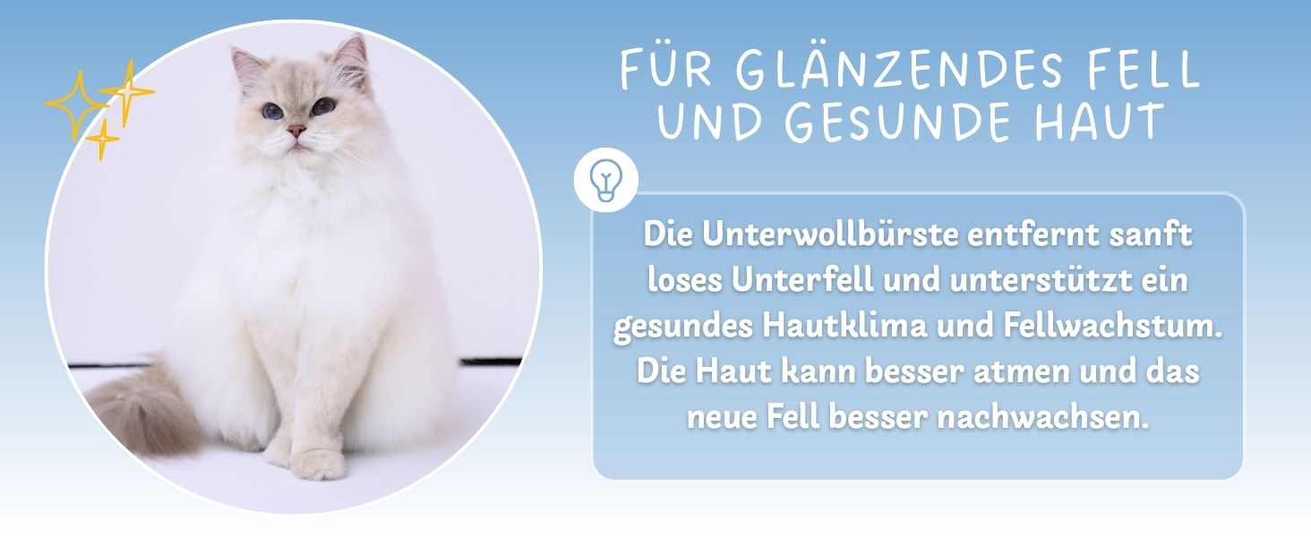 Aplus-Inhaltsbild