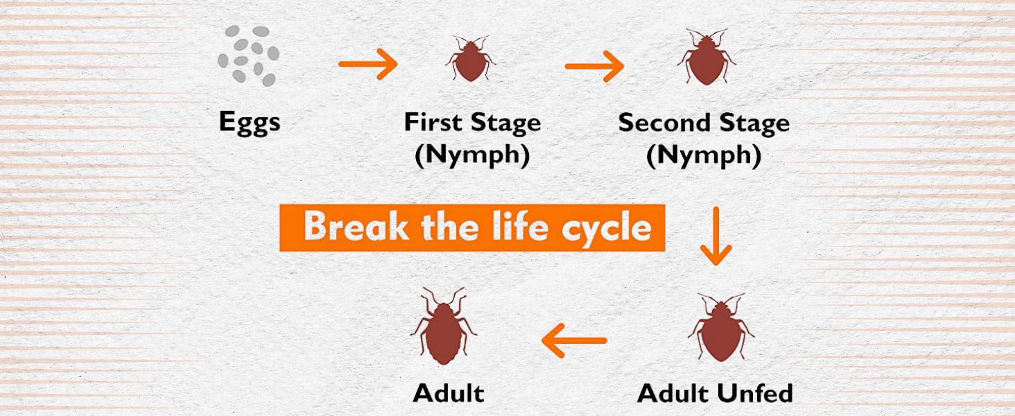 Urba BugSpray Bed Bug Repellent Khatmal Spray Completely Herbal