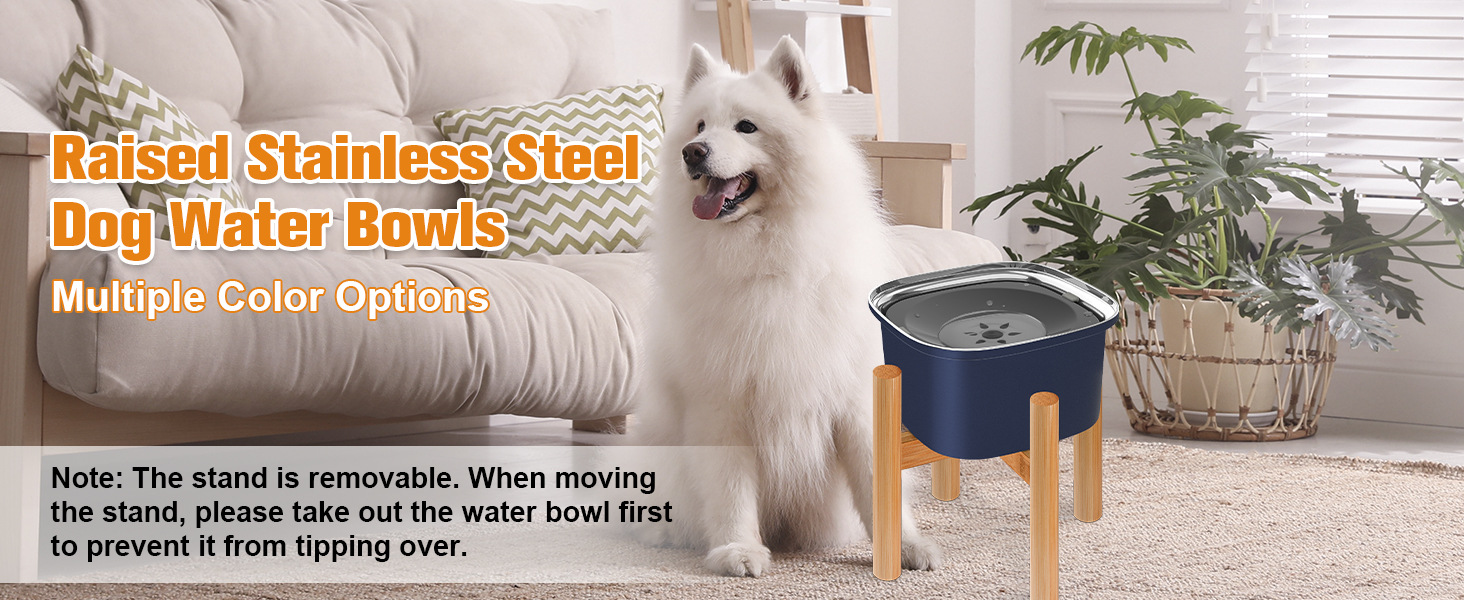elevated dog bowl