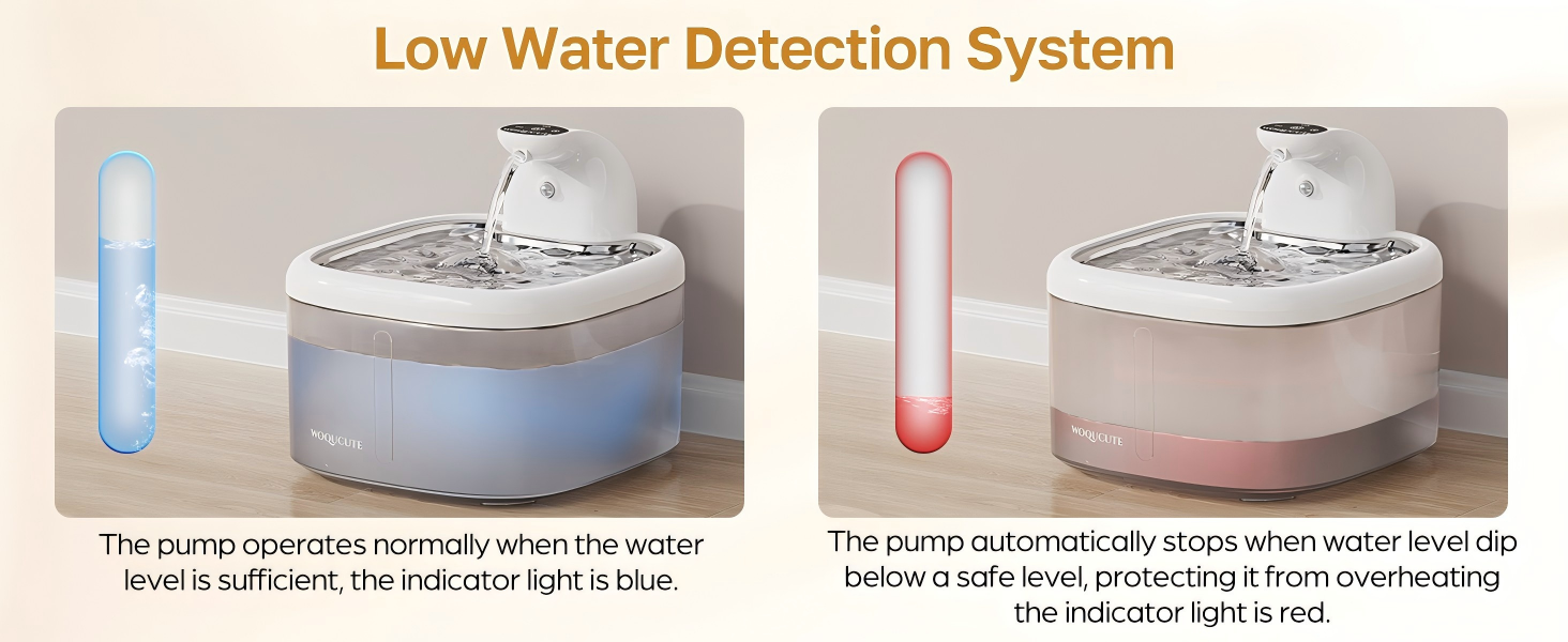 cat fountains for drinking