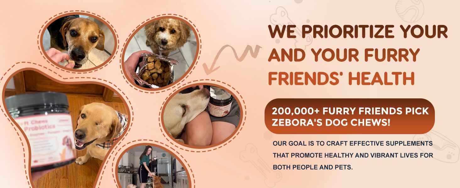 probiotics for dogs dog probiotics probiotic for dogs dog probiotics for digestive health