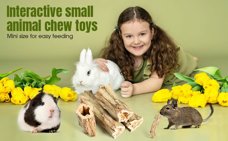 Guinea pig chew toys