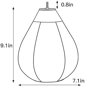 speed bags for boxing