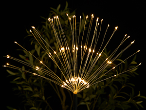 solar lights outdoor