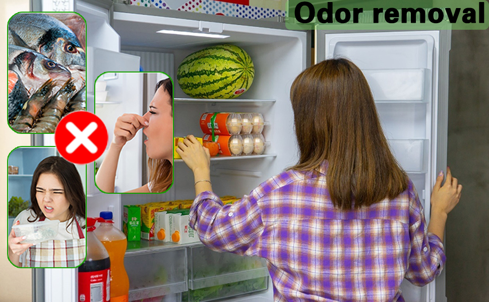 fridge odor