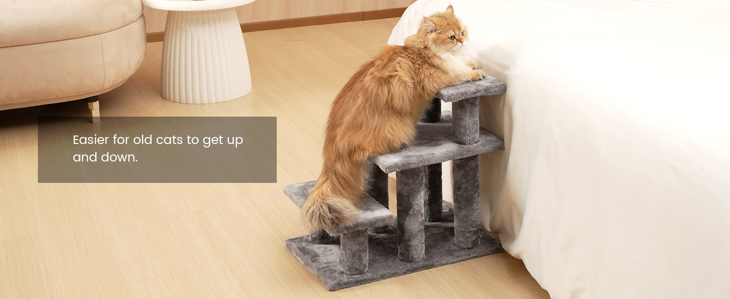dog stairs