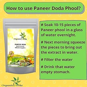 paneer doda phool