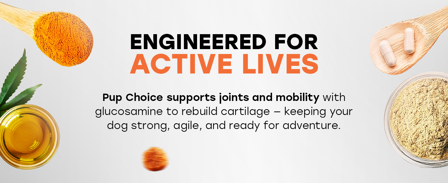 reduce stiffness, lubricate joints, improve longevity, mobility, strengthen bones, help with aging