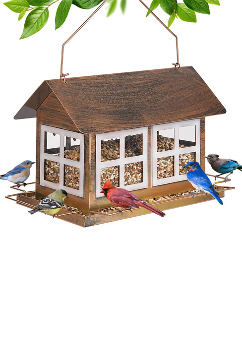 bird feeder