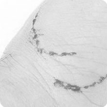 SONGWAY Cat Scratching Post Tree - Cat Tree with 3 Scratching Poles and Dangling Balls, Carpeted Base and Perch, Interactive Scratcher Toy for Indoor Cats Kittens, Grey 21 02-3