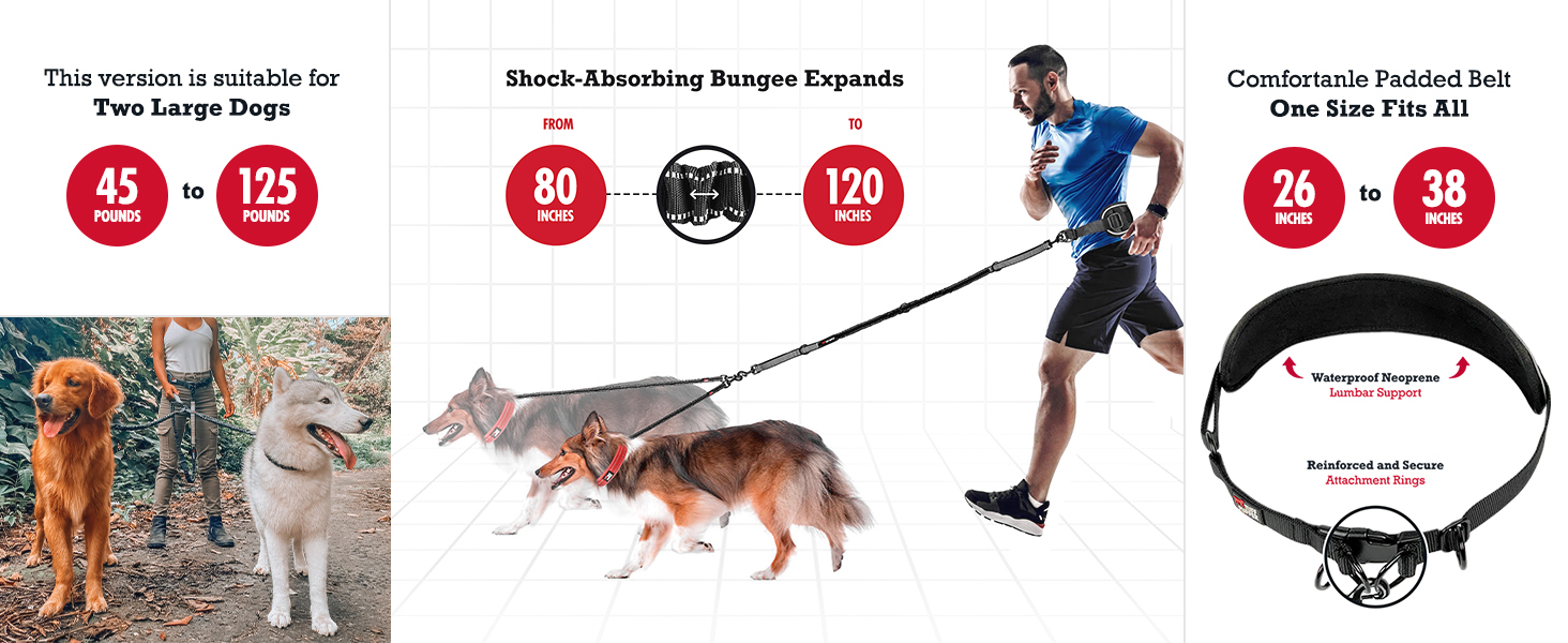 Running Bungee Leash