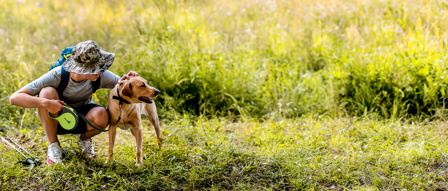 Pecute Extendable/Retractable Dog Leash, 8 Metres, Grey Straps with Reflective Bands for Daily Dog Walks|Dogs Accessories 10 aplus content image