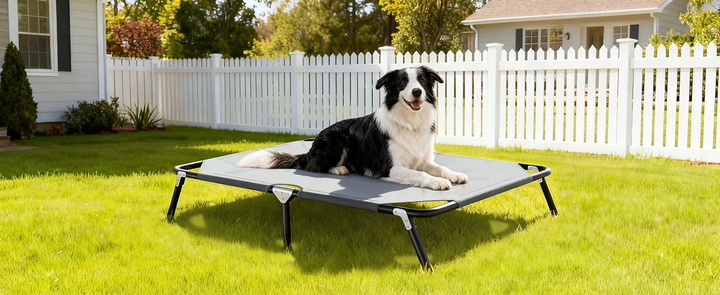 outdoor dog bed foldable