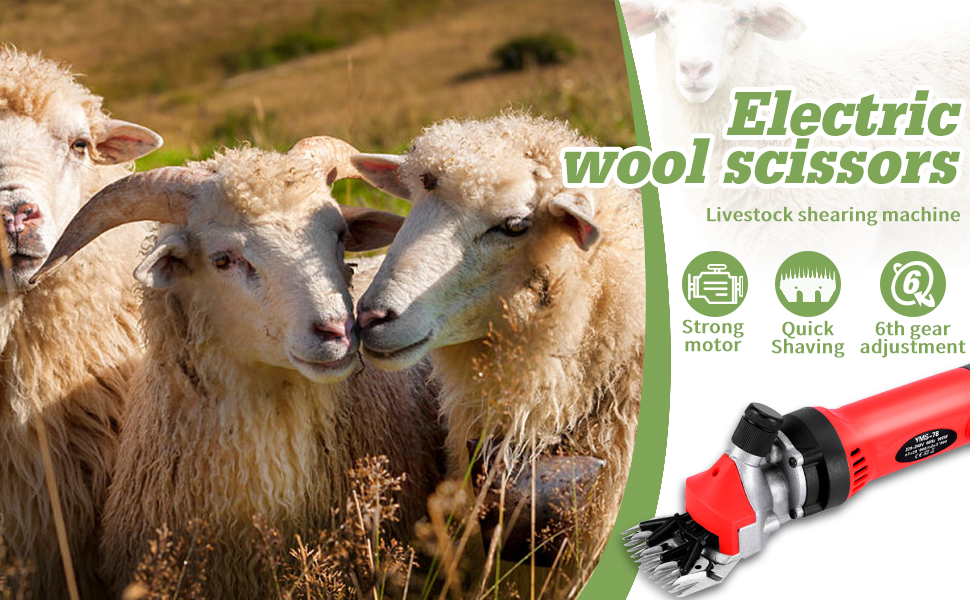 AQTZGOS Sheep Shears 900W, Professional Electric Sheep