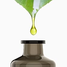 therapy office decor