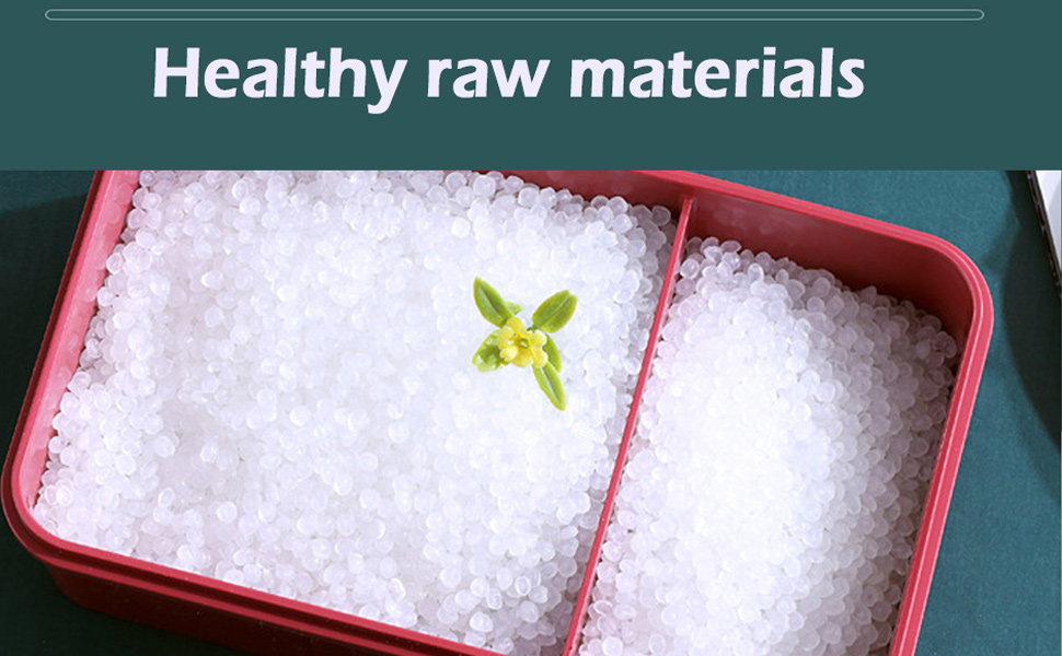 Bento Lunch Box Compartments