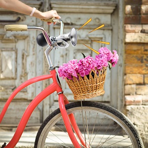 bike loud horn handlebar