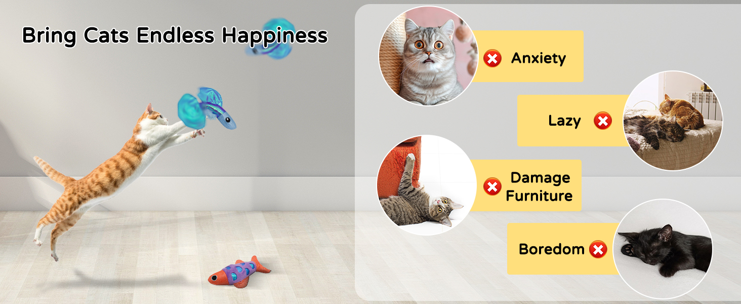 Bring Cats Endless Happiness