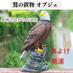 Amazon.co.jp: Quikaboo 鷲 置物 防鳥 鳥よけ オブジェ 庭用