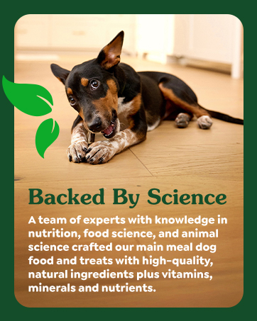 Greenies brand story