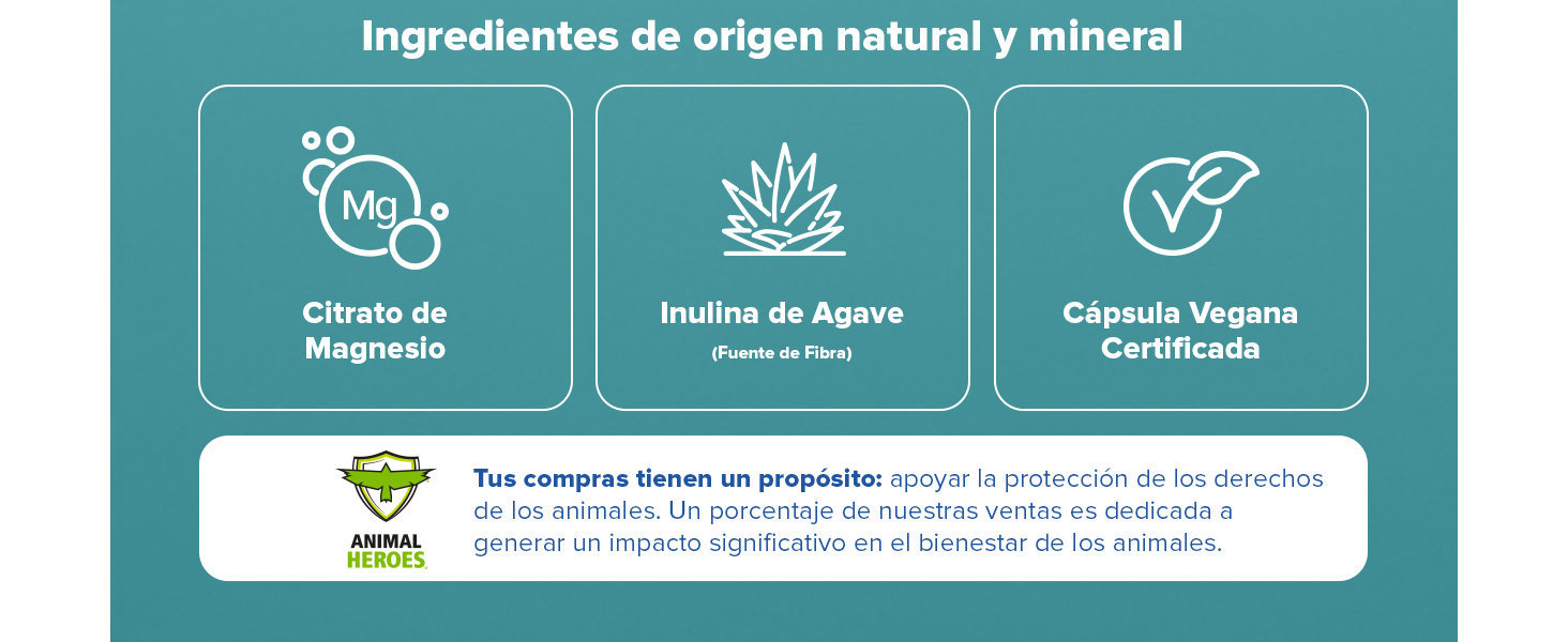 citrato de magnesio polvo magnesio para tomar digestive supplements men para las articulaciones