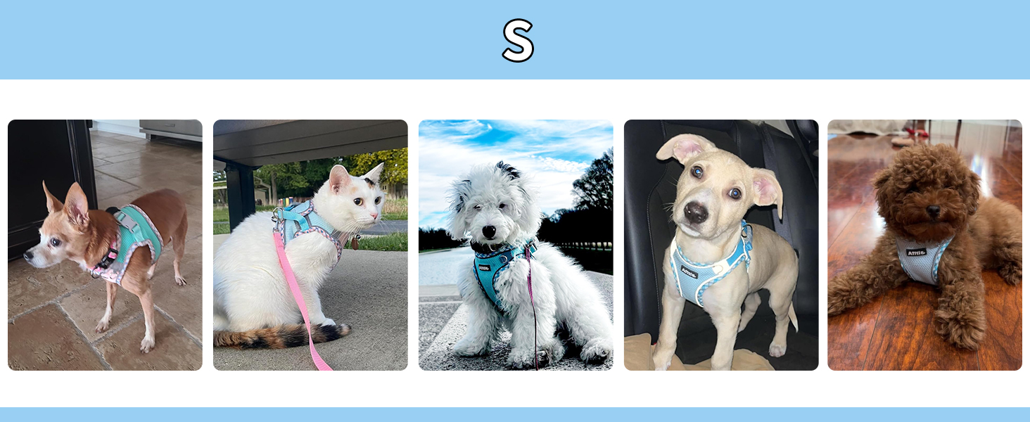 AIITLE Teacup Puppy Harness with Leash - Adjustable Soft Vest with Magic Velcro