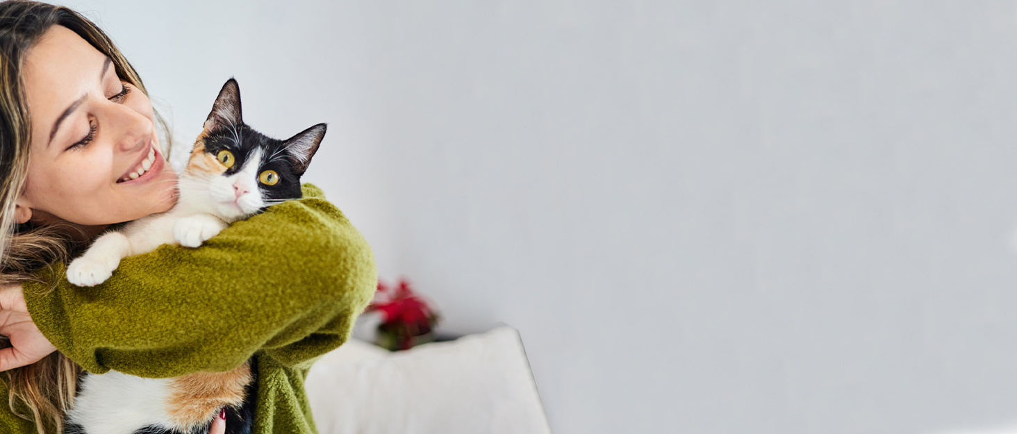 self cleaning cat litter box
