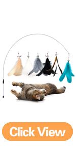 Cat Wand Cat Feather Toys