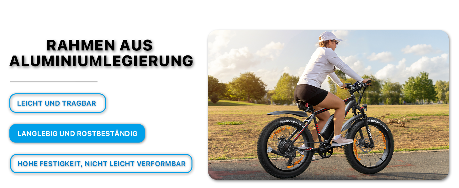 ebike