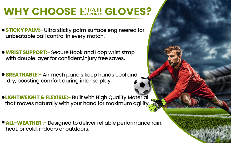 Large manufacture image 6