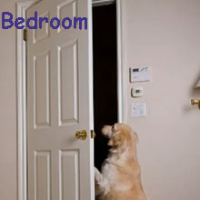 DOOR LOCK COVERS