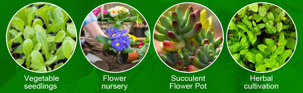 June Fox 100 Pack Green Square Nursery Pots