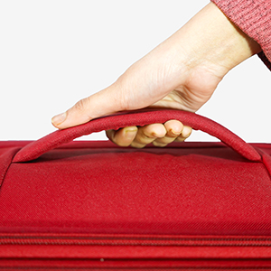 Soft Luggage, Trolley Bags, Wheel Spinner, Premium Luggage, Wheel Luggage