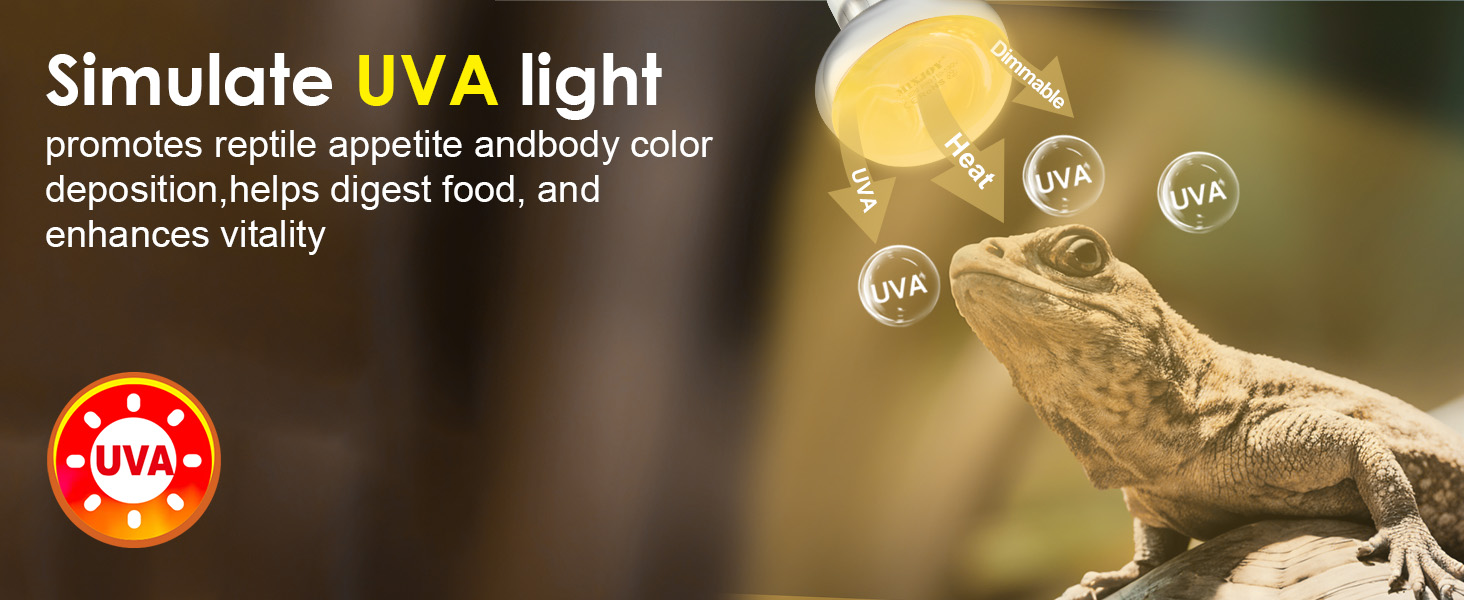 heating lamp for reptiles