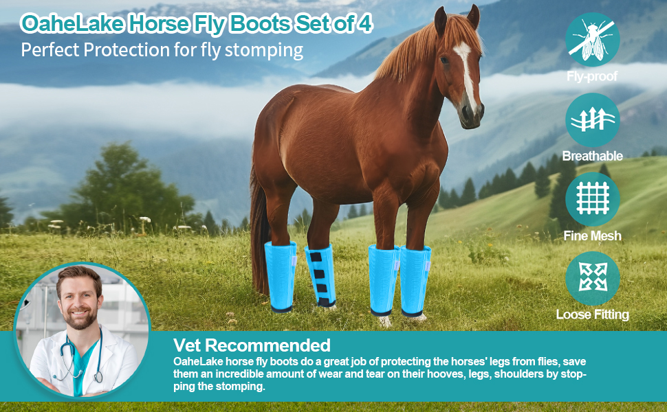 mesh fly boots for horses fly free horse boots horse fly leggings equine fly boots