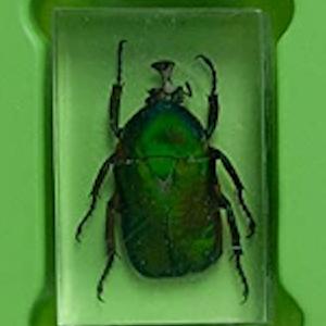 Small manufacture image 2