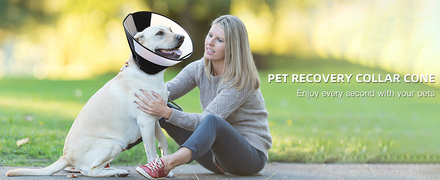 cone for dogs after surgery