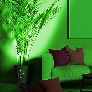 3W Indoor RGB Spotlights