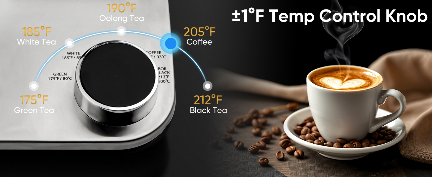 Gooseneck Electric Kettle