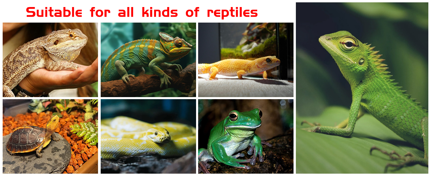 infrared reptile heat lamp uva red heat light bulb infrared basking spot light