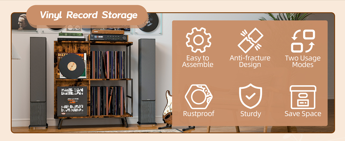 Vinyl Record Storage