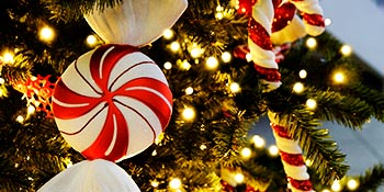 christmas fairy lights warm white 