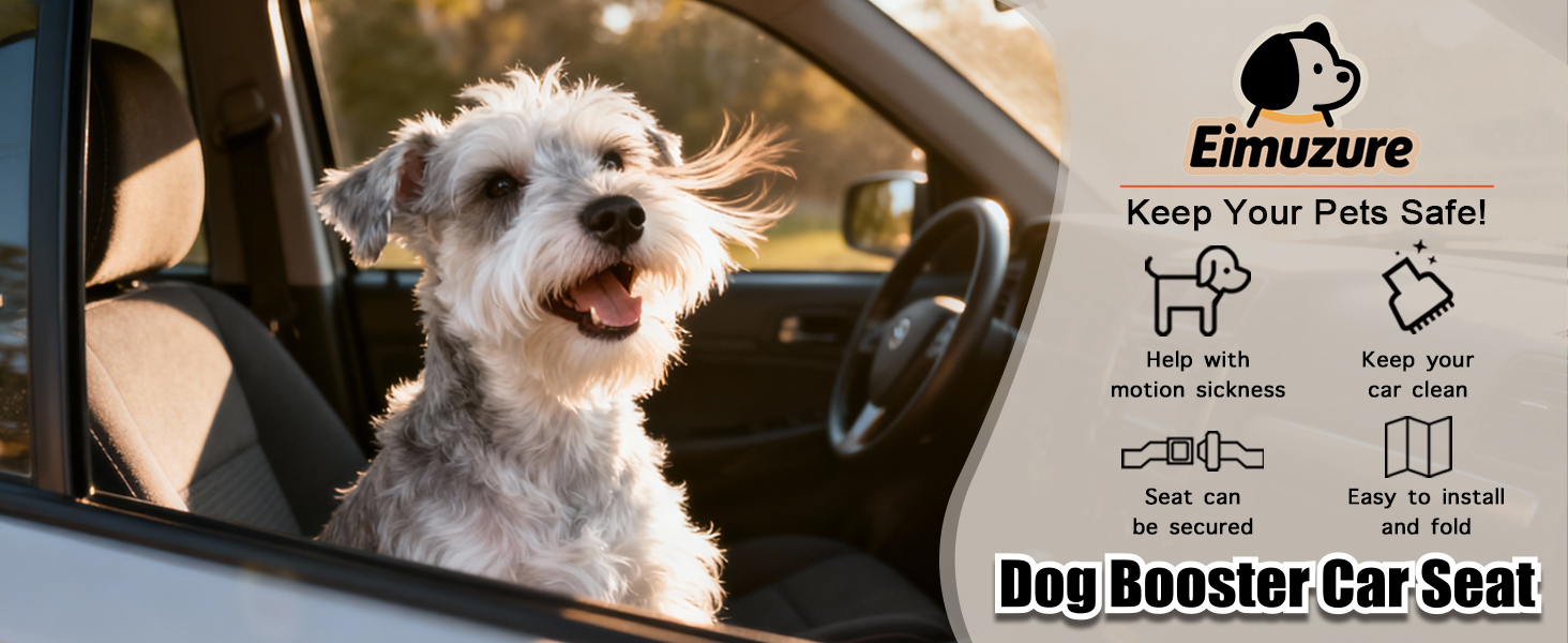 A Safer, Calmer, Cleaner Ride for Every Dog