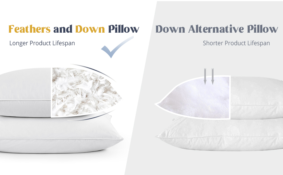 Longer Product Lifespan