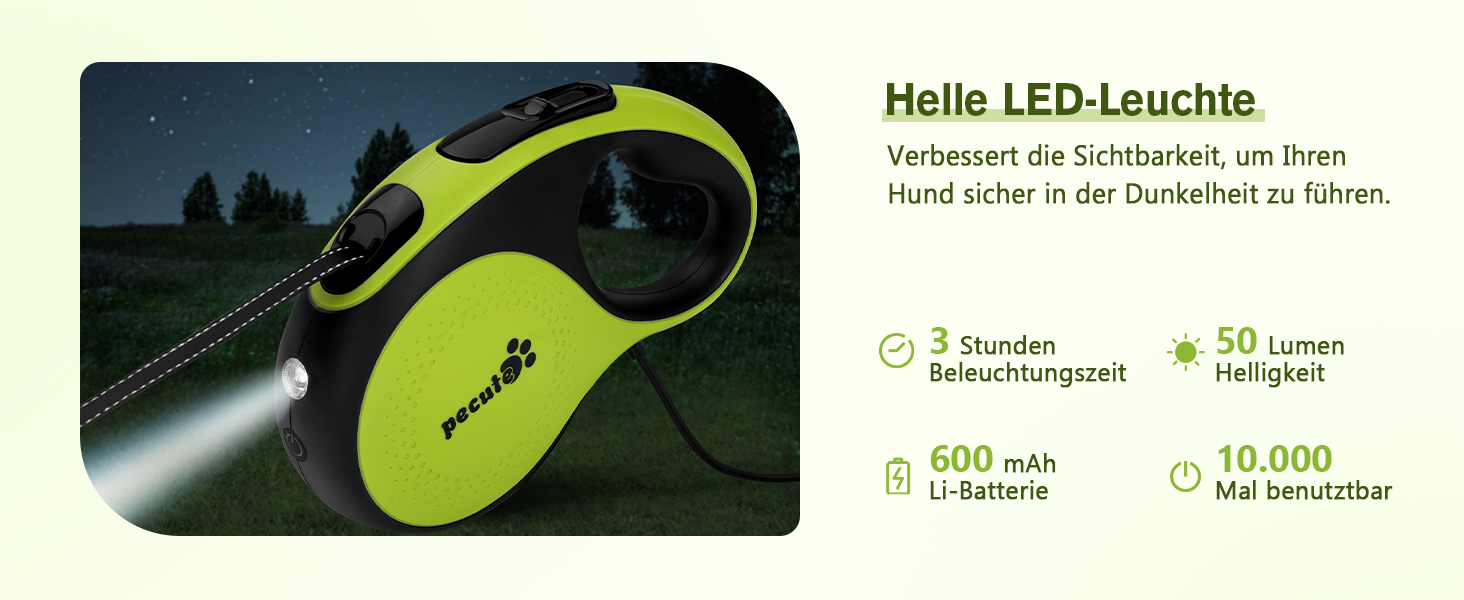 Der Text lautet „Helle LED-Leuchten“. Grünes und schwarzes Produktdiagramm mit LED-Lichtmerkmalen mit mehreren technischen Hinweisen in deutschem Text.